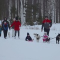 Vastlaliug Venevere järvel ja kallastel